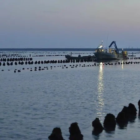 Maison Charmante Pres Des Plages, Animaux Admis - Fr-1-194-332 *