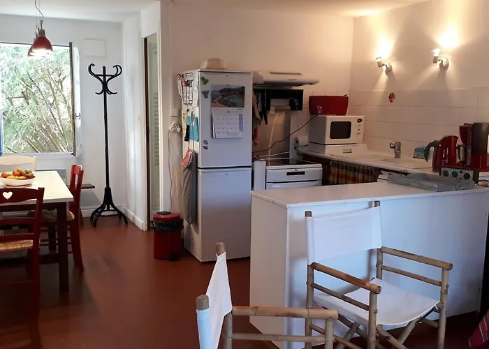 Maison Charmante Pres Des Plages, Animaux Admis - Fr-1-194-332 *