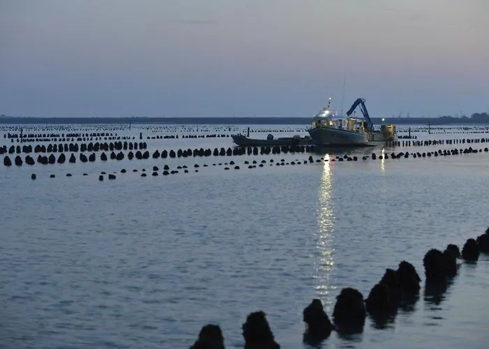 Maison Charmante Pres Des Plages, Animaux Admis - Fr-1-194-332 *